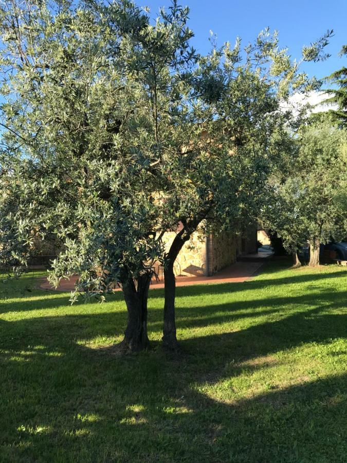 Apartmán La Casina Rosella Montaione Exteriér fotografie